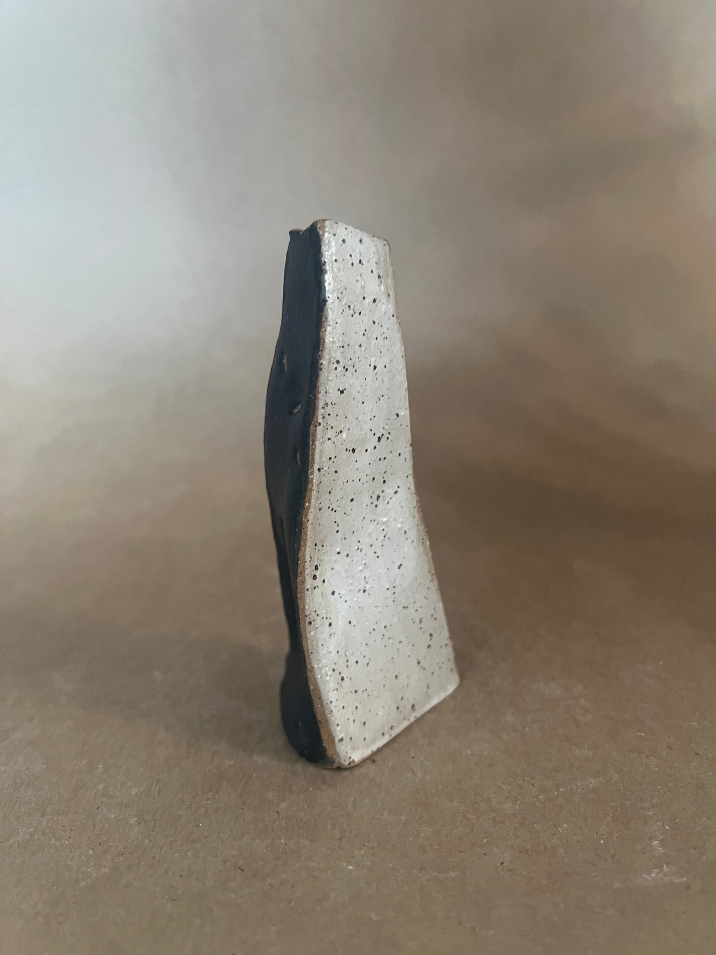 Rainbow organic spirit vase 2