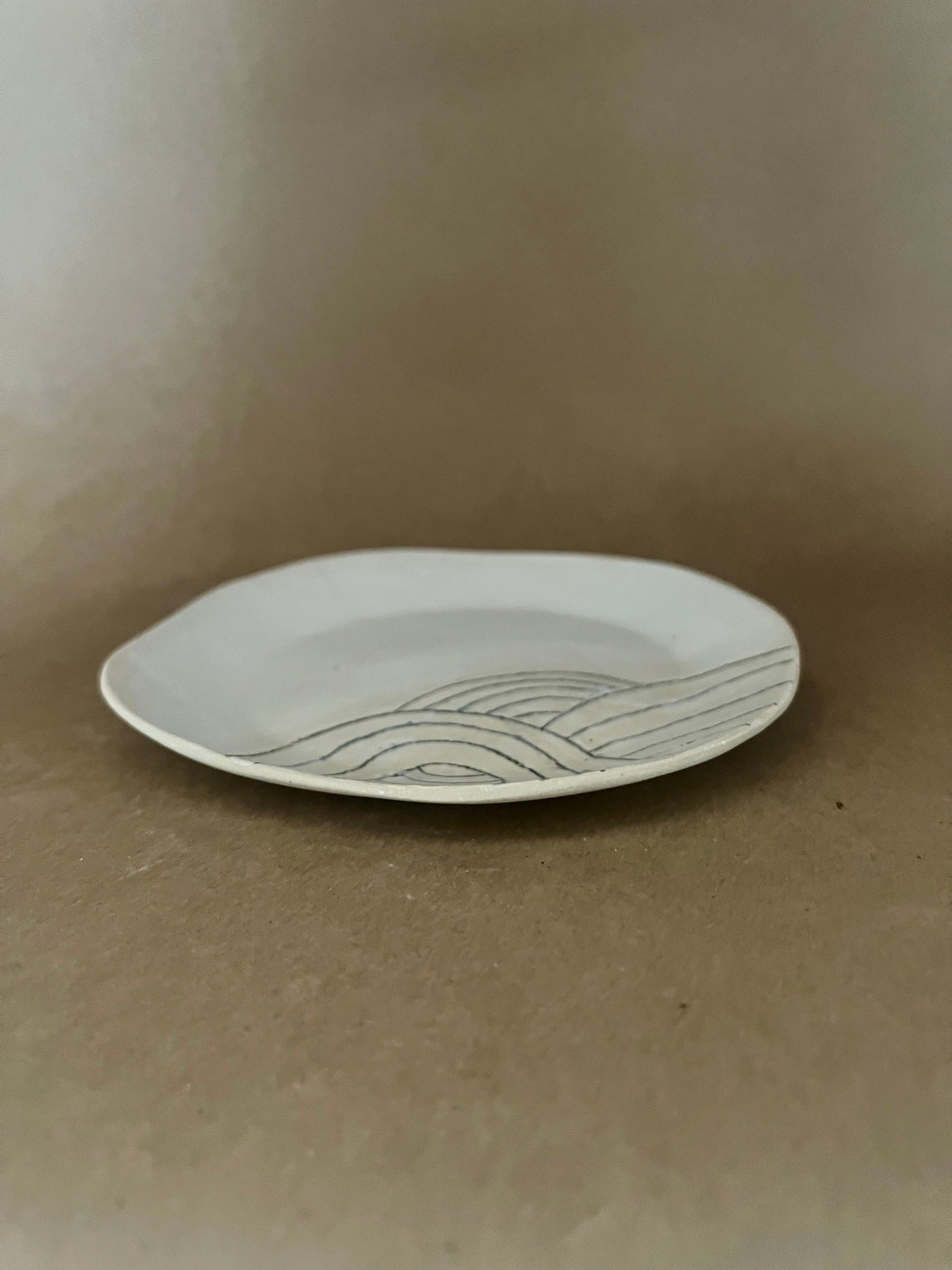 Rainbow plate
