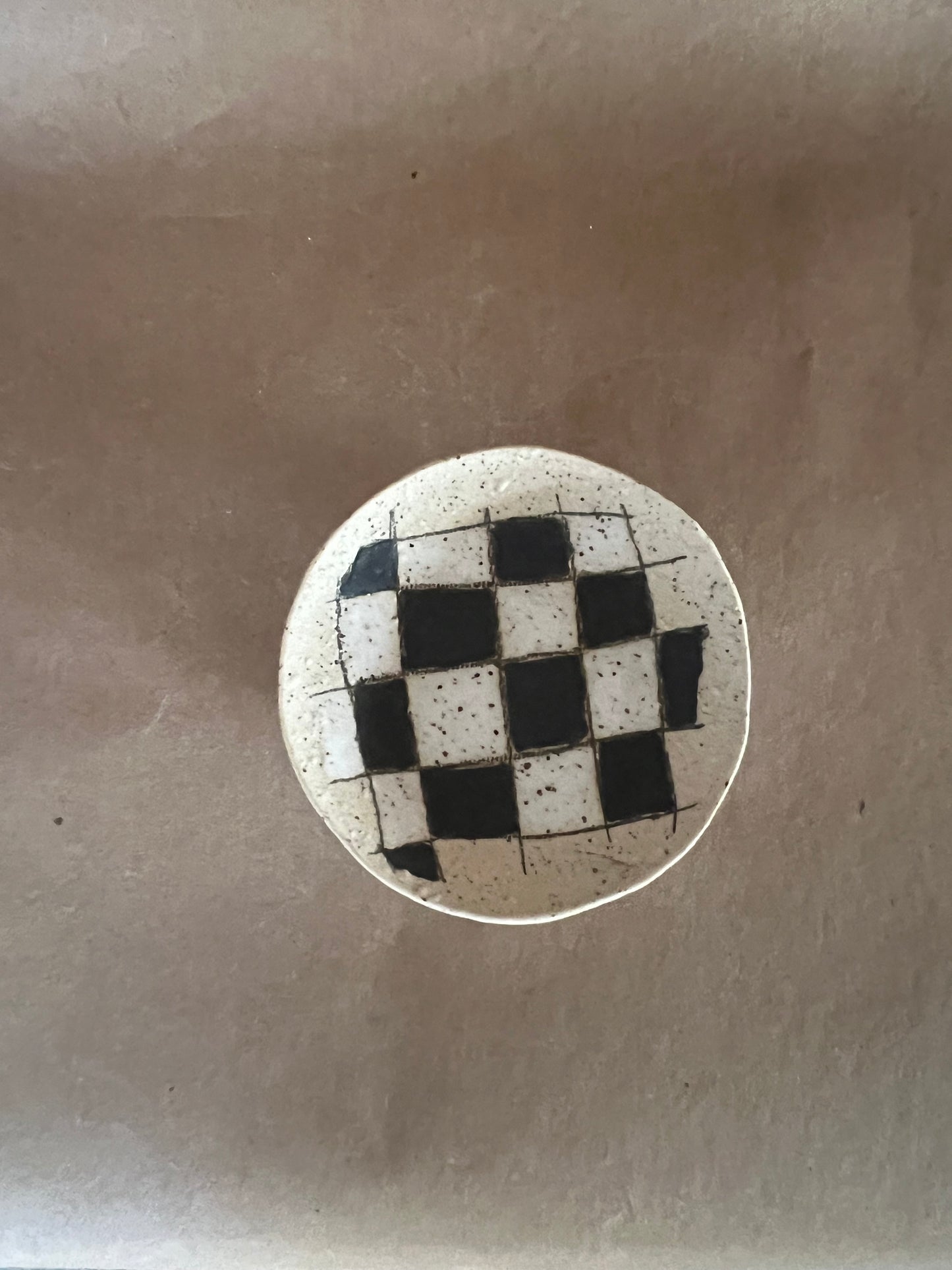 Checks dish 2