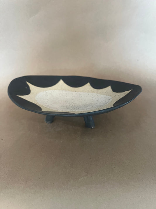 Sun dish 2